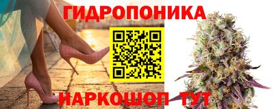ПСИЛОЦИБИНОВЫЕ ГРИБЫ Волжск