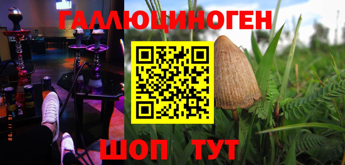 Галлюциногенные грибы GOLDEN TEACHER Новосибирск