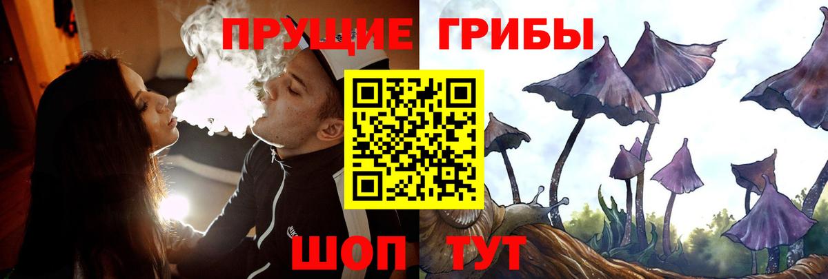 Галлюциногенные грибы мицелий  Галлюциногенные грибы Psilocybine cubensis  Новосибирск  Вход с VPN 